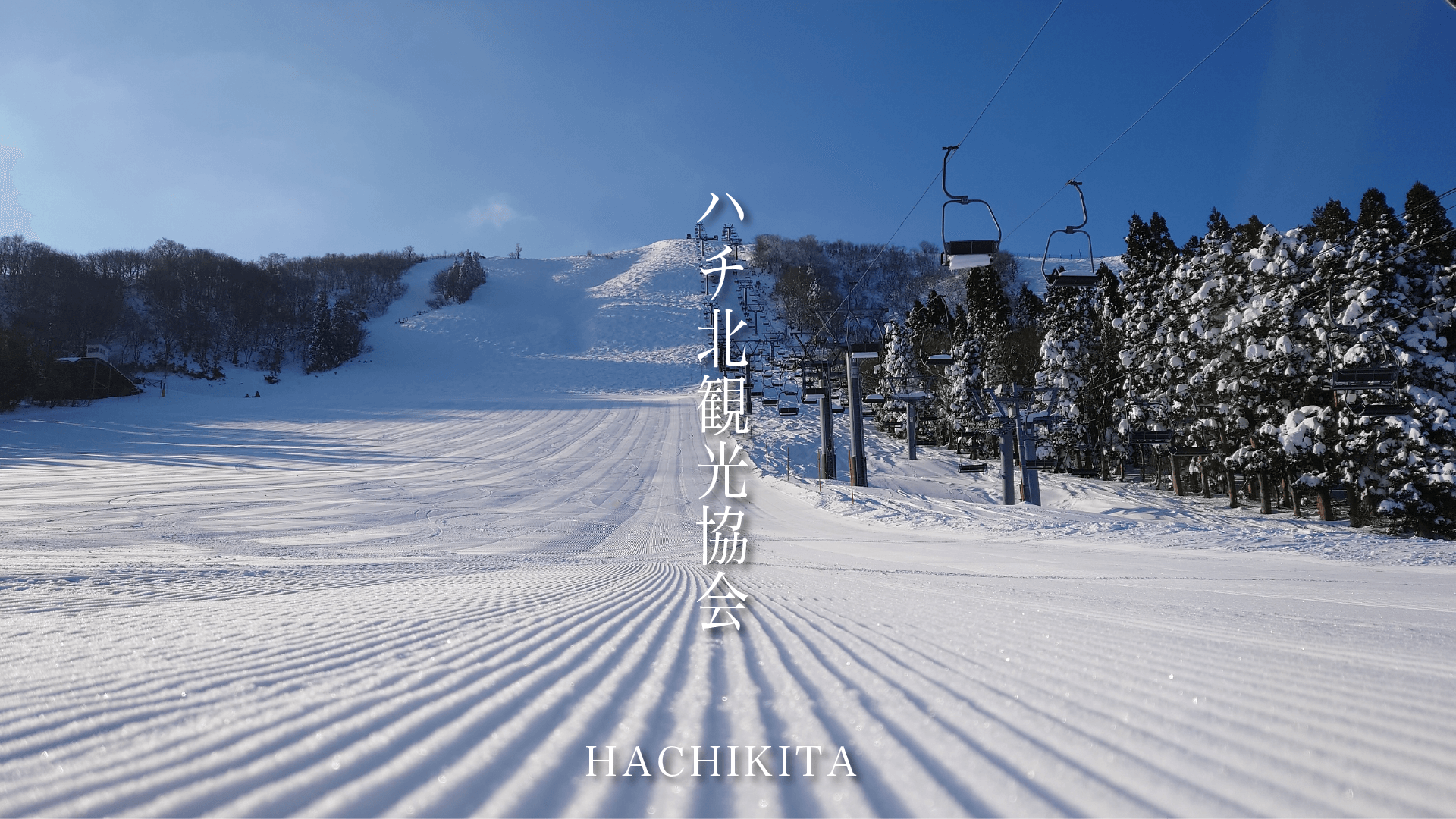 ハチ北観光協会 ハチ北観光協会